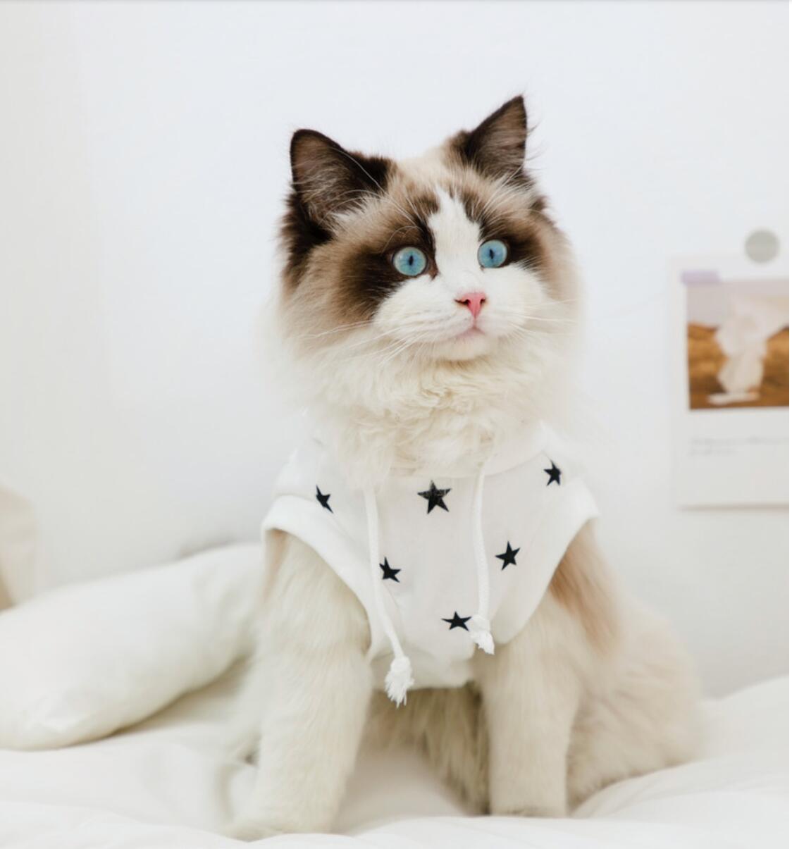 Ropa de algodón para gato, camisa de chaleco para perros pequeños y medianos