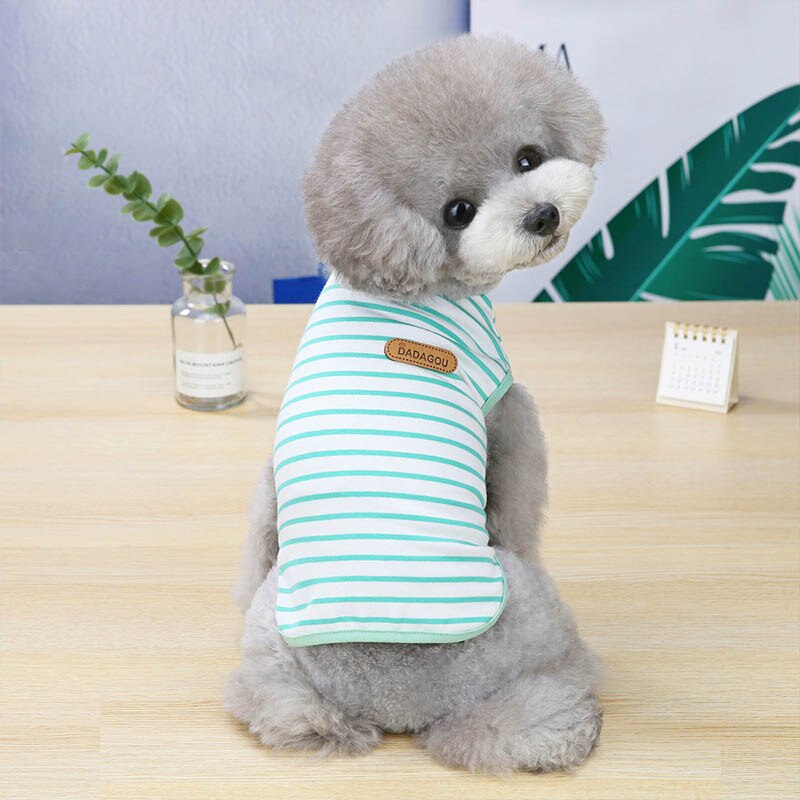 Cat Clothes Autumn Winter Pet Clothing For Small Cats Dogs Cotton Cat Costumes Soft Kitten Kitty Coat Jacket Puppy Outfit York: green / S