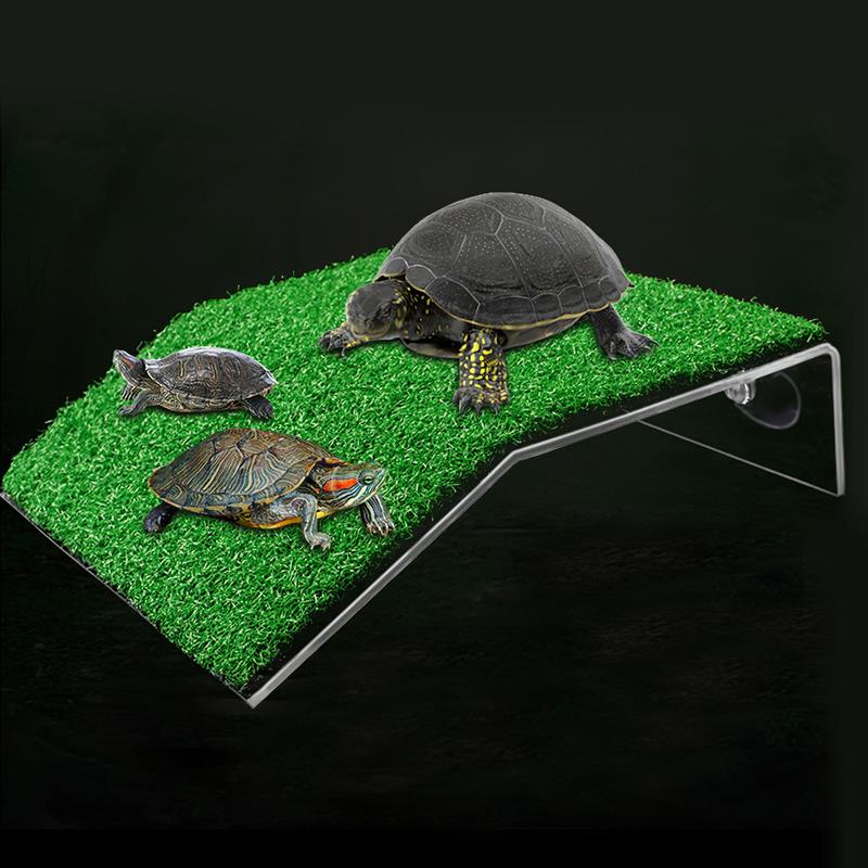 Turtle Basking Platform Tortoise Ramp Reptile Ladder Resting Terrace Fish Tank Aquarium Turtle Dock Floating Terrace