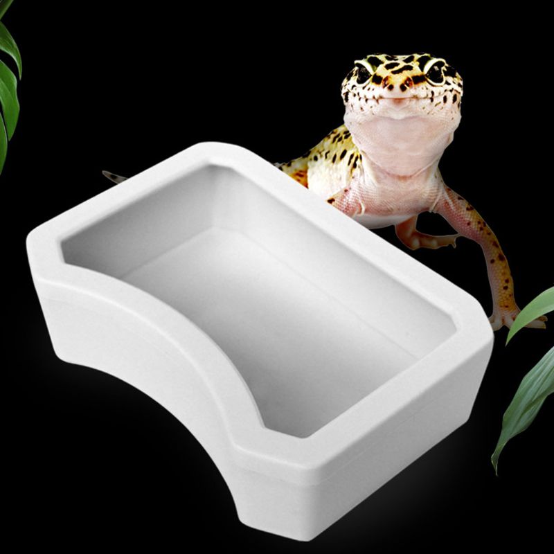 Image showcasing Reptile Feeder Water Food Feeding Plastic Bowl 3 S... - Grandado