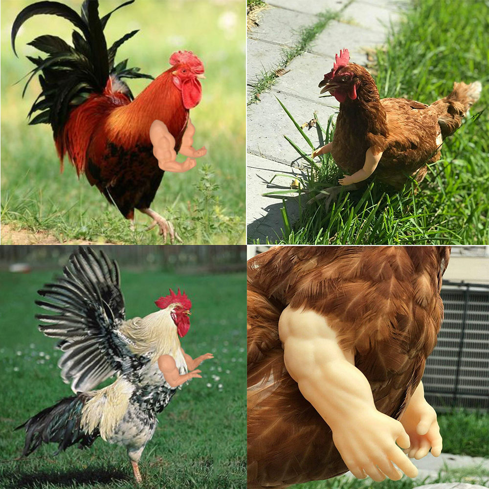 Juguete para manos de pollo, de broma, casco para gallinas, decoración divertida de aves, músculos, juguetes con brazos