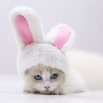 Gorro De Invierno Divertido Para Gatos Y Perros - Con Orejas De Oso Y Correa Ajustable - Color Rosa | Abrigo Y Disfraz Para Mascotas