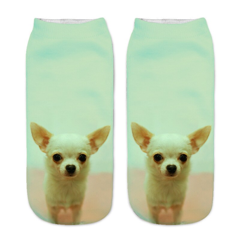 SLMVIAN 3D Printed Chihuahua Dog Puppy Women Socks Cute Low Cut Ankle Sock Multiple Colors Style CN005: 5