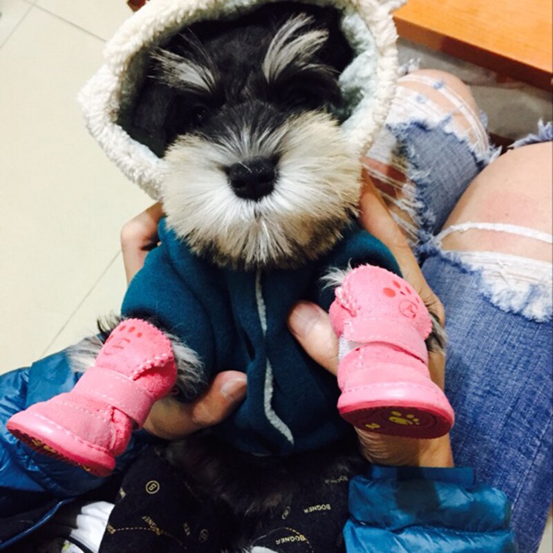 chien chat chaussures d'hiver pour chiens antidérapant chien bottes de neige Chihuahua Shih Tzu chaussure Zapatos Perro chaussures pour animaux de compagnie