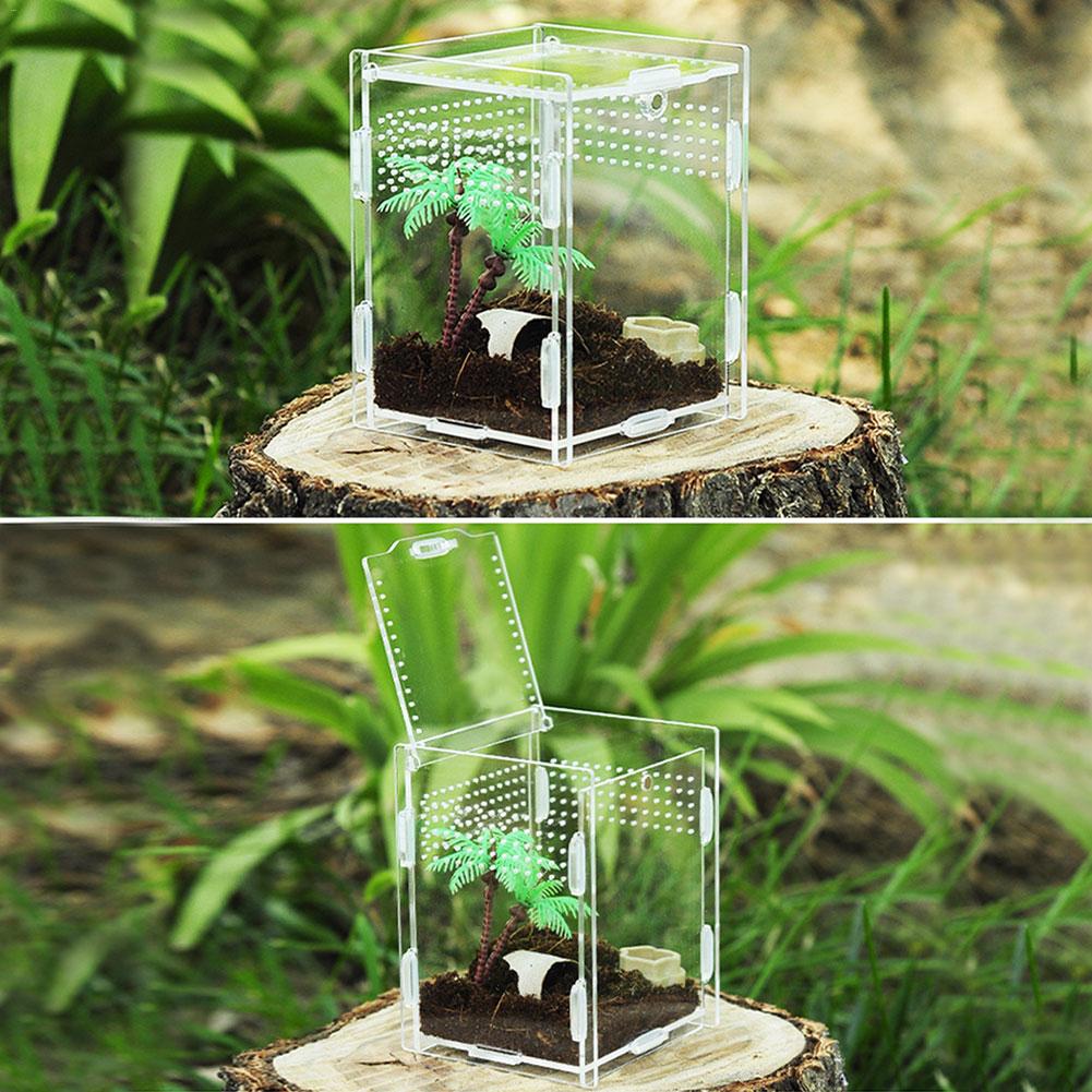 Mehrere Lüftungsschlitze Reptil Zucht Kasten Acryl transparent Reptil Panzer Insekten Spinnen Skorpione Gottesanbeterin Fütterung Kasten Terrarium Panzer