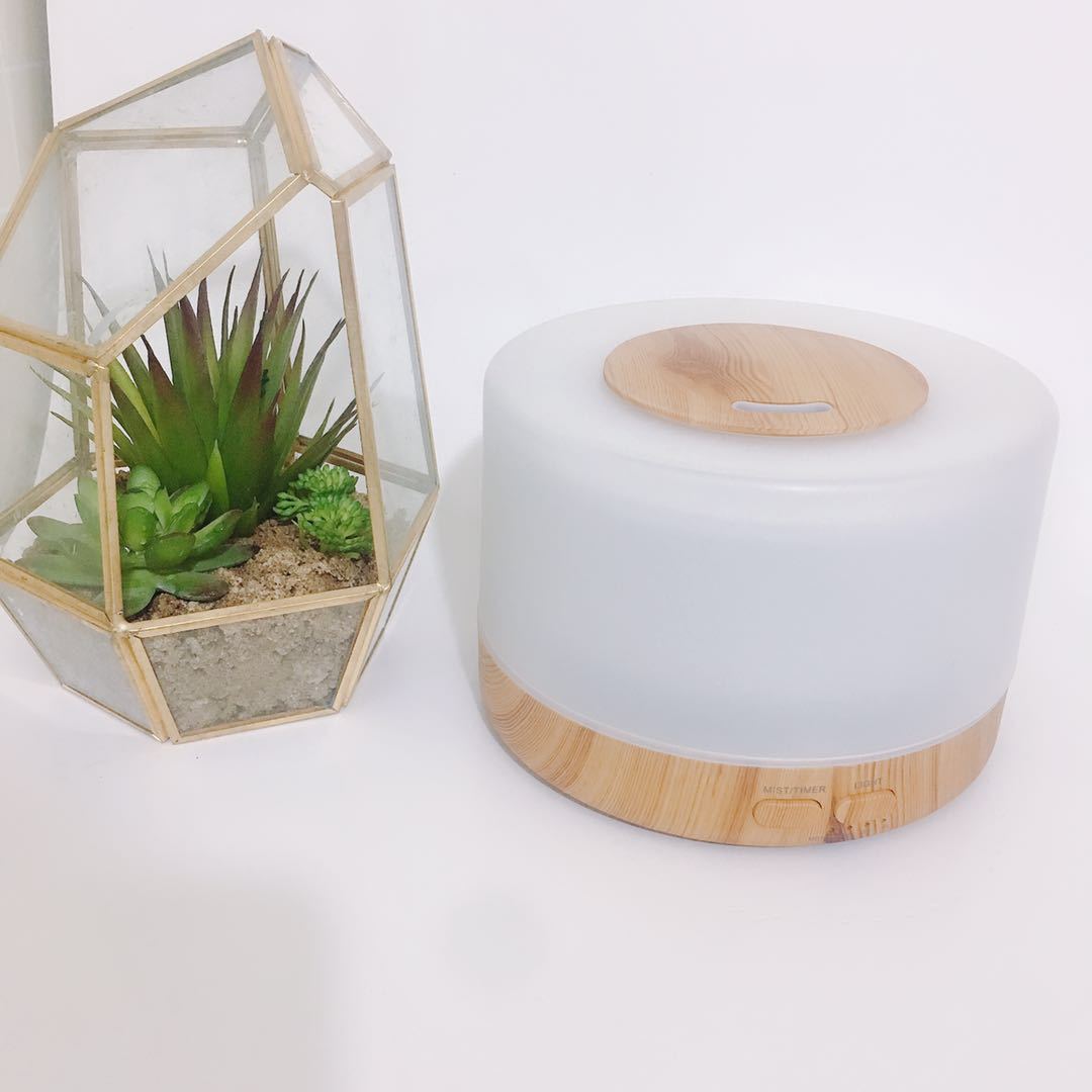 700 MUJI-style Aroma Diffuser
