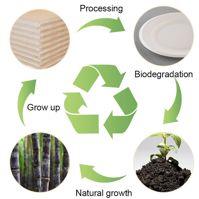 20/50Pcs Disposable Food Containers for Restaurants Microwavable Biodegradable Natural Bagasse Take Away Food Box Packaging