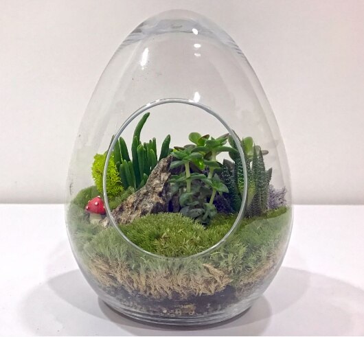 Grand Vase à oeufs Terrarium-33 cm