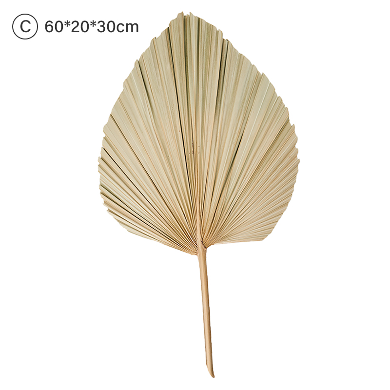 Palm Fan Leaf Dried Flower Palm Leaf Window Reception Party Art Wall Hanging Decoration Wedding Arch Arrangement: C