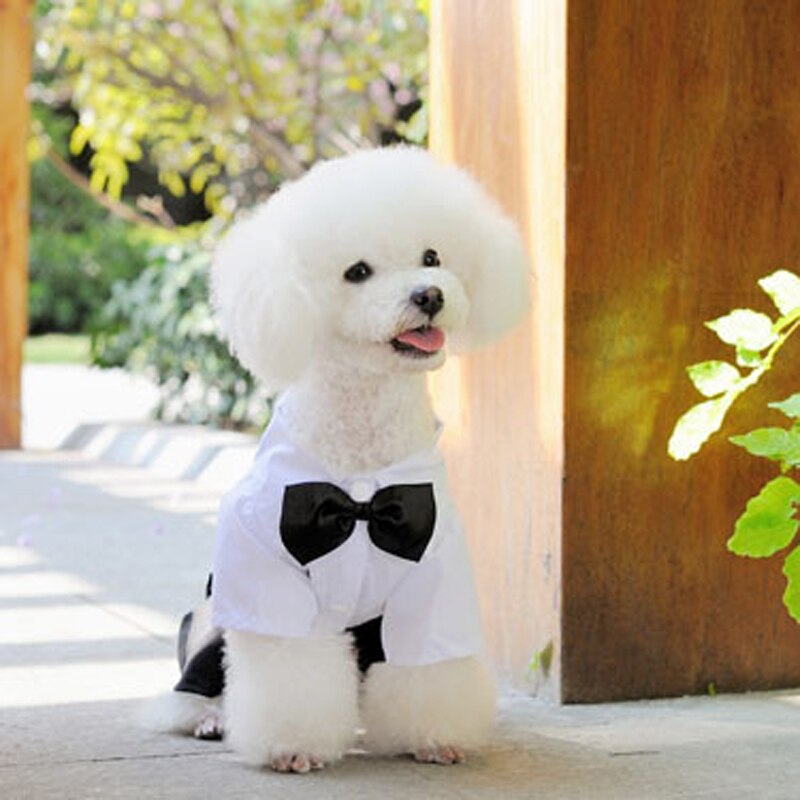 Ropa para mascotas cachorro perro mono traje pajarita esmoquin camisa Formal ropa de boda-S M L XL XXL -blanco negro 20 A