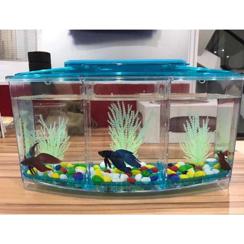 Pecera acrílica de tres divisiones, pecera Betta, luz Led para acuario, Incubadora, caja de cría, pecera Guppy, pecera, casa reptil de tortuga