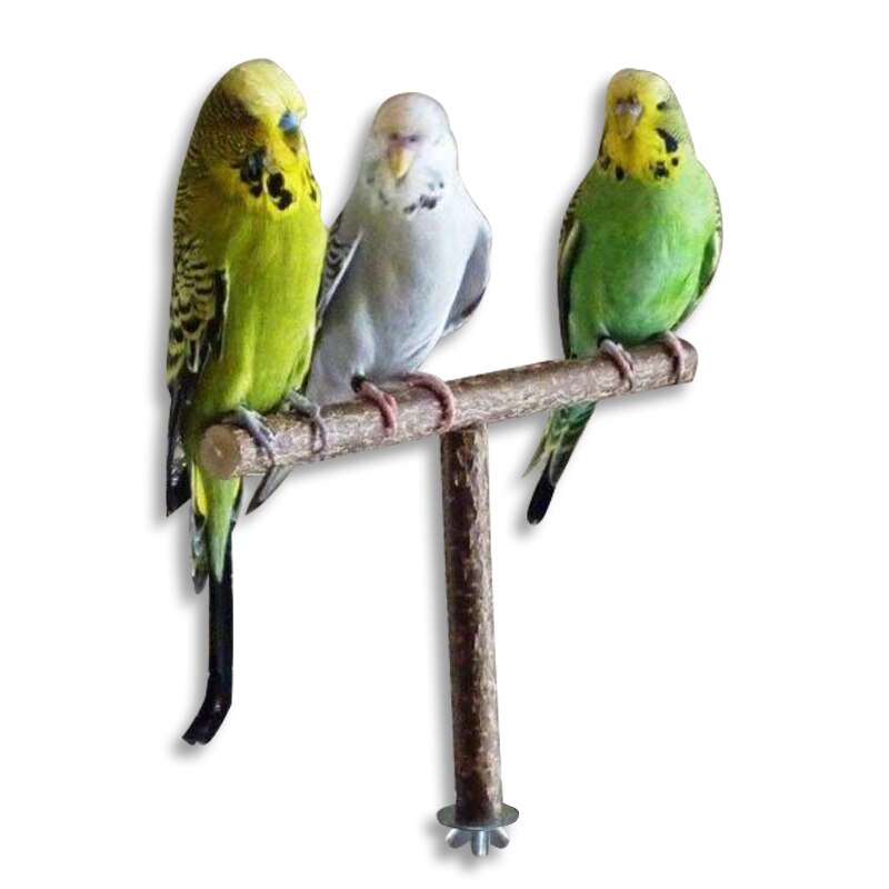 Vogel kurk hout speelgoed - vogel kauwspeelgoed | vogel parkiet speelgoed papegaai kooi accessoires kurk speelgoed voor papegaaien dwergpapegaaien valkparkiet Conure