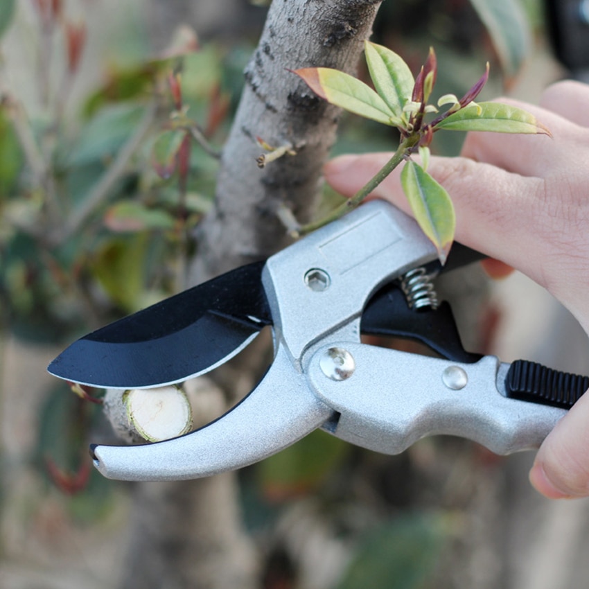 Fydun Knopfschneider – Konkave Astschere Für Bonsai Und Garten, Kugelgelenk-Zange, 210 Mm