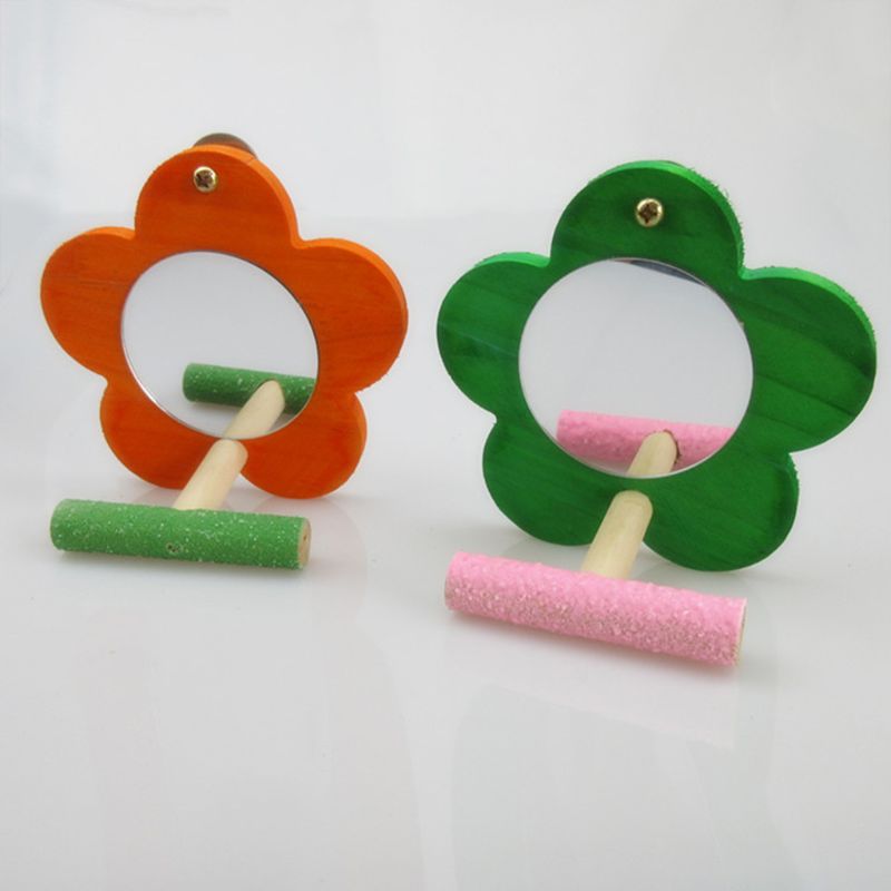 Miroir à perroquet pour oiseaux | Avec personnage pour Conure, Cage à sable, support de broyage de patte, couleur aléatoire 449E