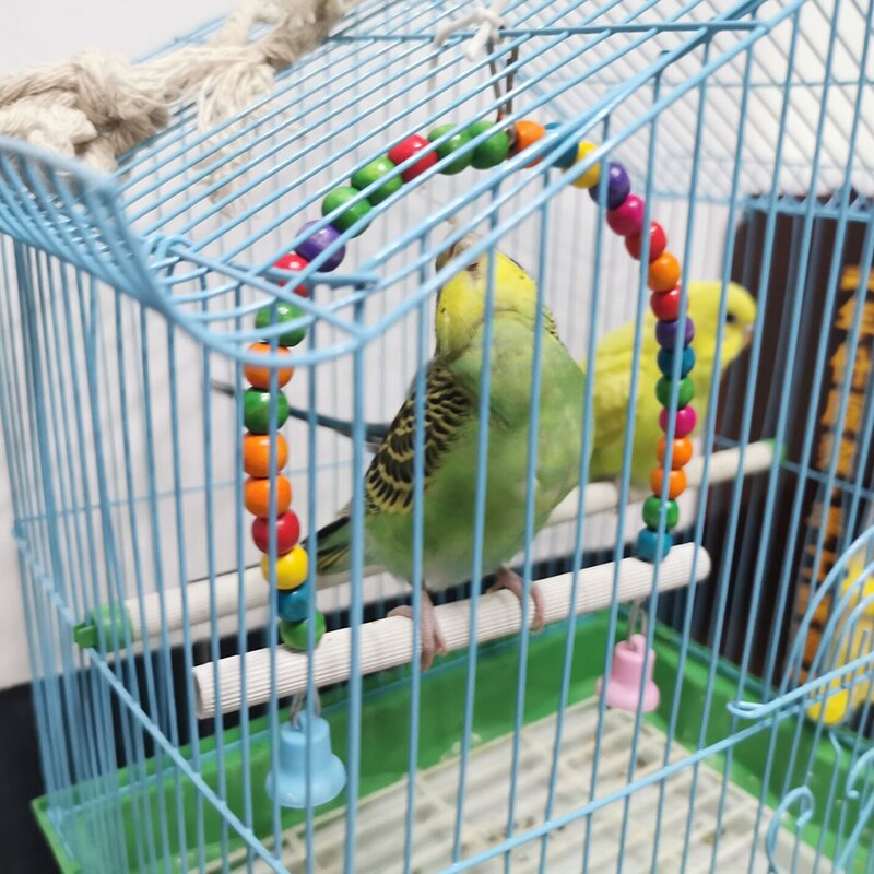 1 Vogel Bite Opknoping Ornamenten Vogel Training Levert Diverse Vogelkooien Accessoires Vogels Chew Speelgoed – Grandado