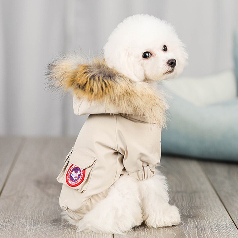 Tyk hund frakke jakke kæledyr tøj til hunde outfits vinter varmt hunde tøj hvalp kæledyr tøj til hunde downcoat kat kæledyr tøj