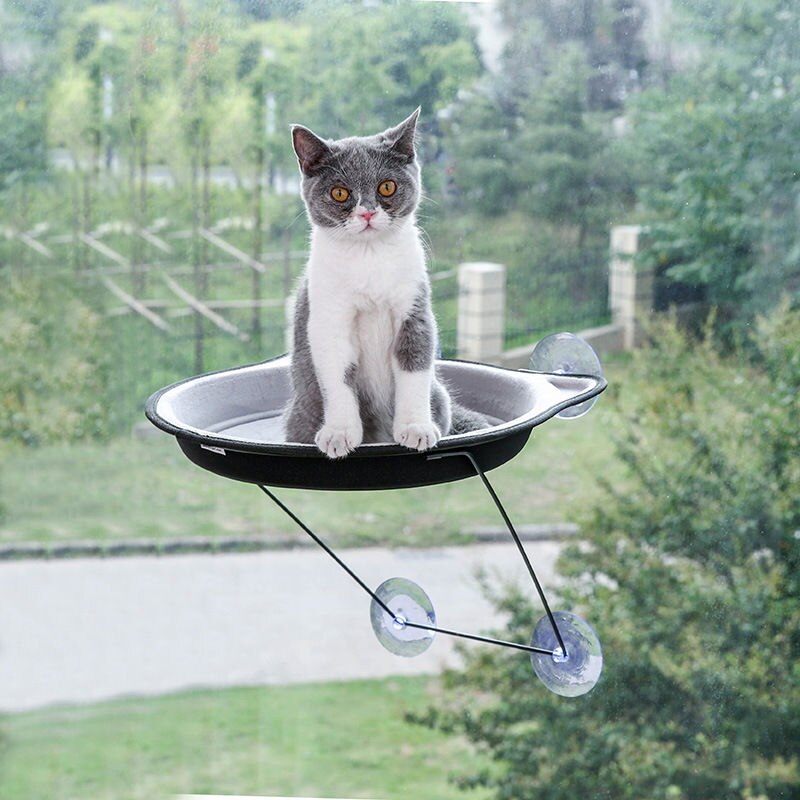 Saugnapf Katze Hängematte Hängen Glas Katze Nest Vier Jahreszeiten Universal Fenster Sill Nest Pet Liefert Saug Wand Raum Kapsel: Circular Small Sucti / Coffee
