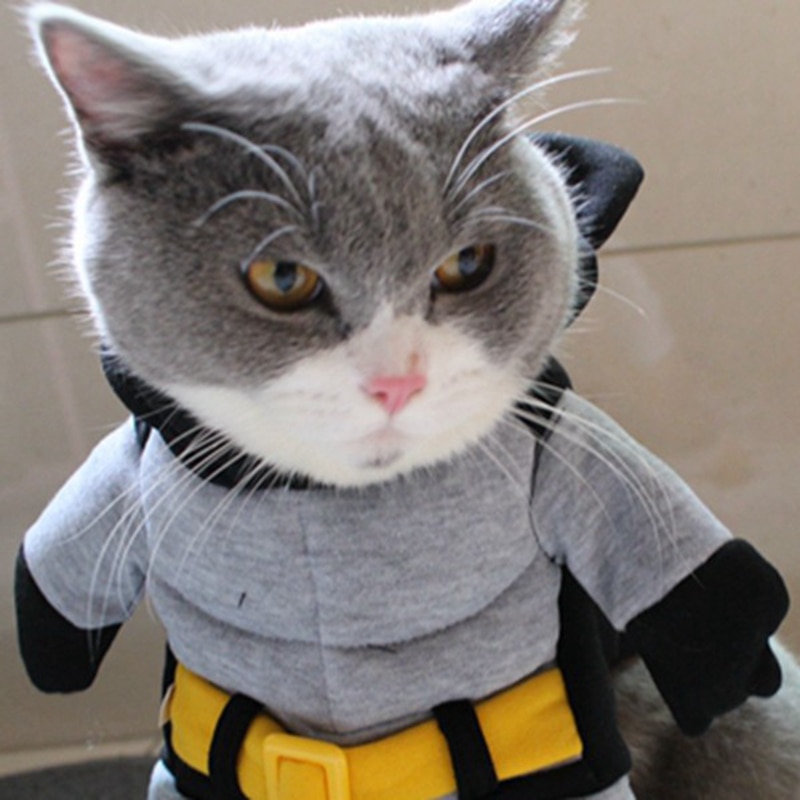 [MPK Store] , Muscular-Bat Cat Costume, 5 Sizes Available