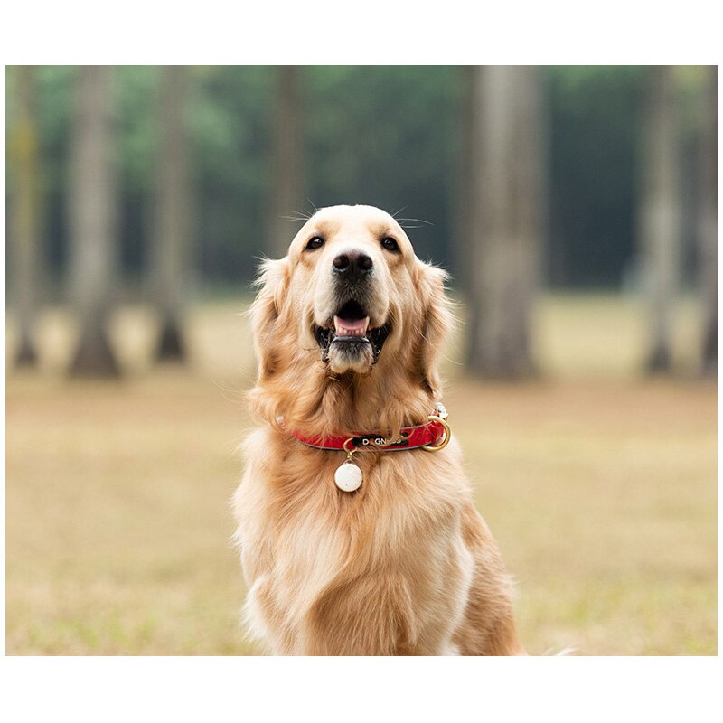 Pet GPS Trackers Pet Positioning Intelligent Motion Monitor Mini Equipment Waterproof Cat Dog Tracking Anti Lost Non GPS