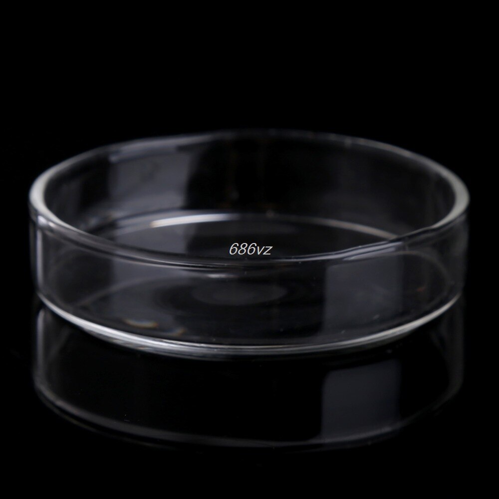 Acryl Kristall verrotten Zier Garnelen Futter Gericht Aquarium Aquatische Panzer Schnecke Fischfutter Zubringer Schüssel Tasse Becken Fach Container