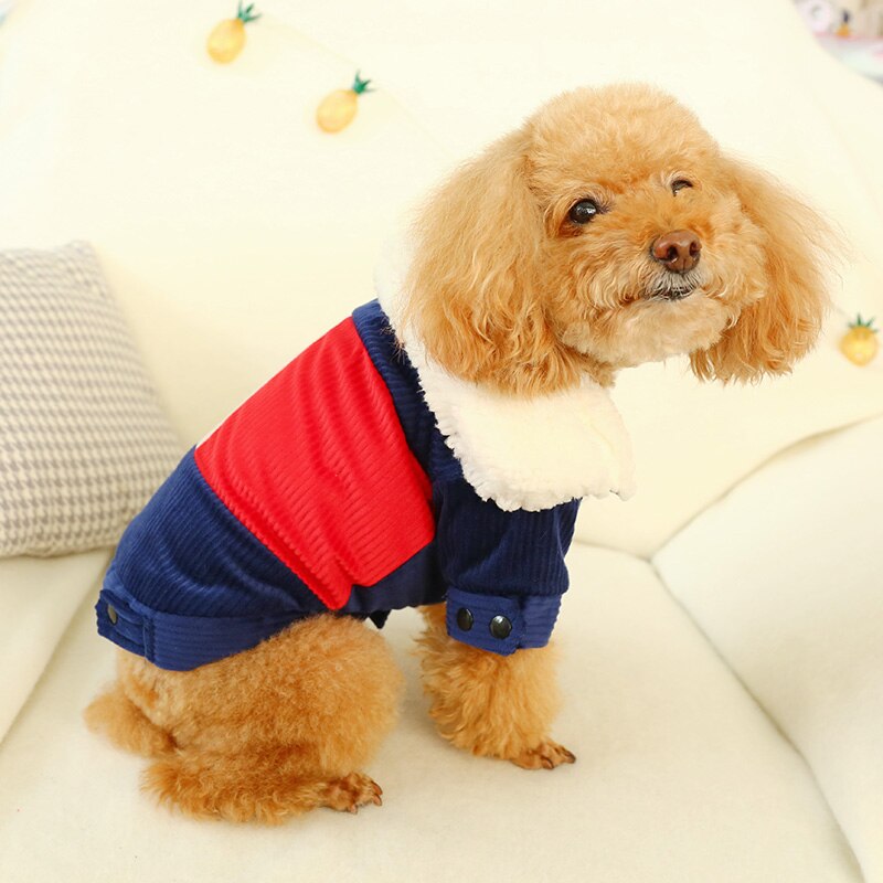 PETCIRCLE Huisdier Kleding Hond Kleren Teddy Bichon Hond Pommeren Herfst en Winter Dikker Warme Kleding