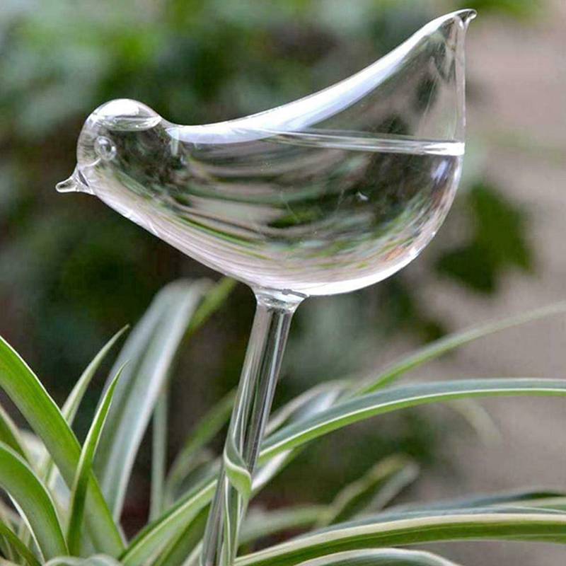 Plante vanner selvvanning globes, fugl form hånd blåst klare aqua pærer