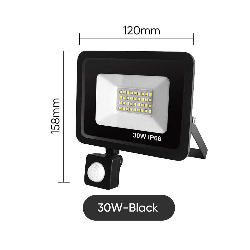 LED Floodlight RIP Motion Sensor IP66 Outdoor Waterproof 10W 20W 30W 50W 100W Garden Landscape Spotlight Gateway Wall Light: Black 30W / Cool White(5500-7000K)
