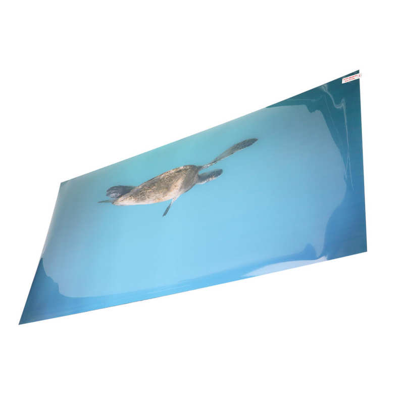 Aquarium Background Paper Fish Tank Decoration Poster Clear Image for Underwater