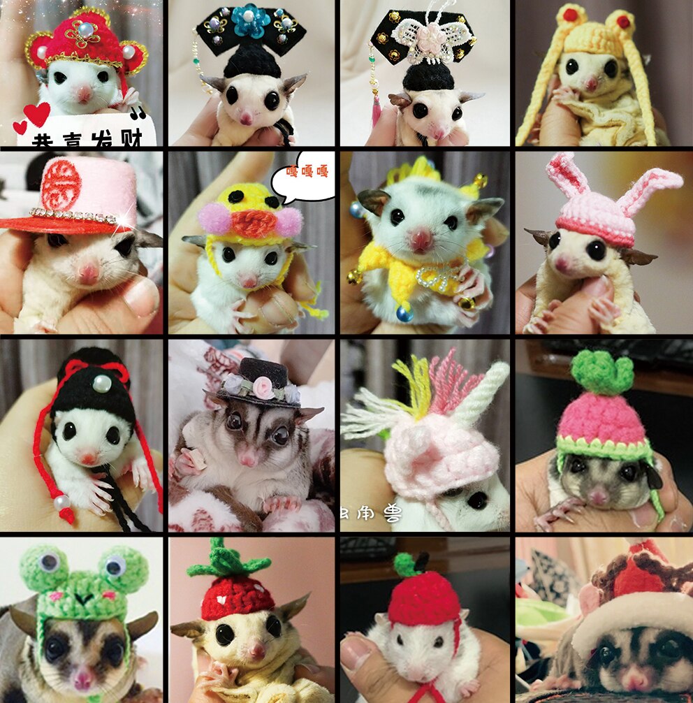Shrew-sombrero para hámster tejido a mano, mini disfraz de animal bonito, sombrero de dibujos animados, ropa para mascotas