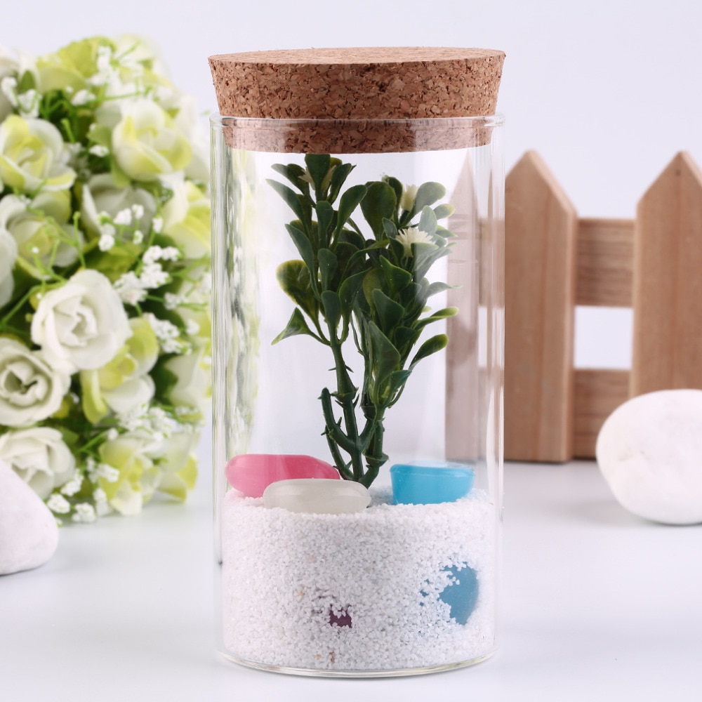 350ml Clear Transparent Heat-resistant Glass Bottle with Sealed Cork Beans Tea Leaves Storage Container Vase