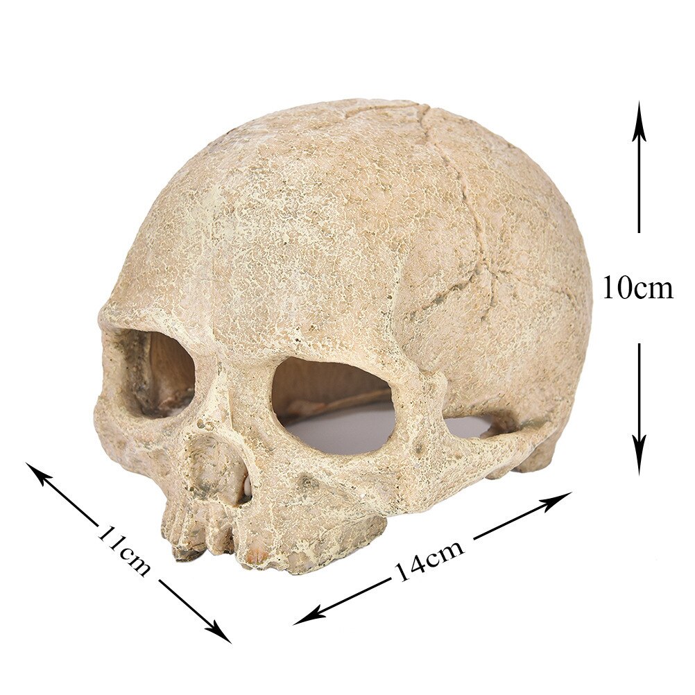 Resin Easter Island Head Bone Skull Statue for Lizards Terrarium Reptile Hide Cave Aquarium Fish Tank Landscape Decor Ornament: Skeleton