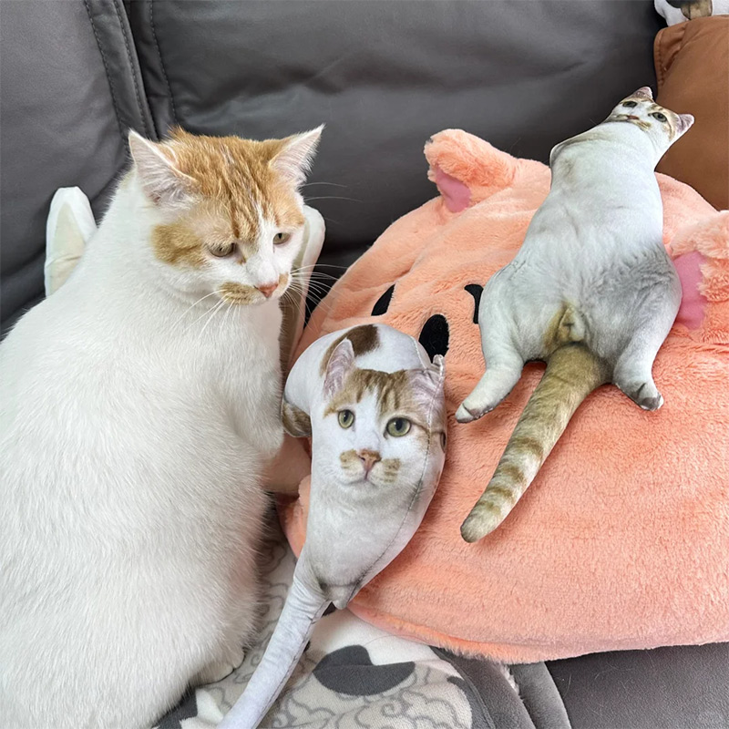 Personalización de foto, almohada fea DIY para un amigo o mascota, divertida funda de almohada personalizada para perro, gira el gato en almohada, almohadas 3D personalizadas