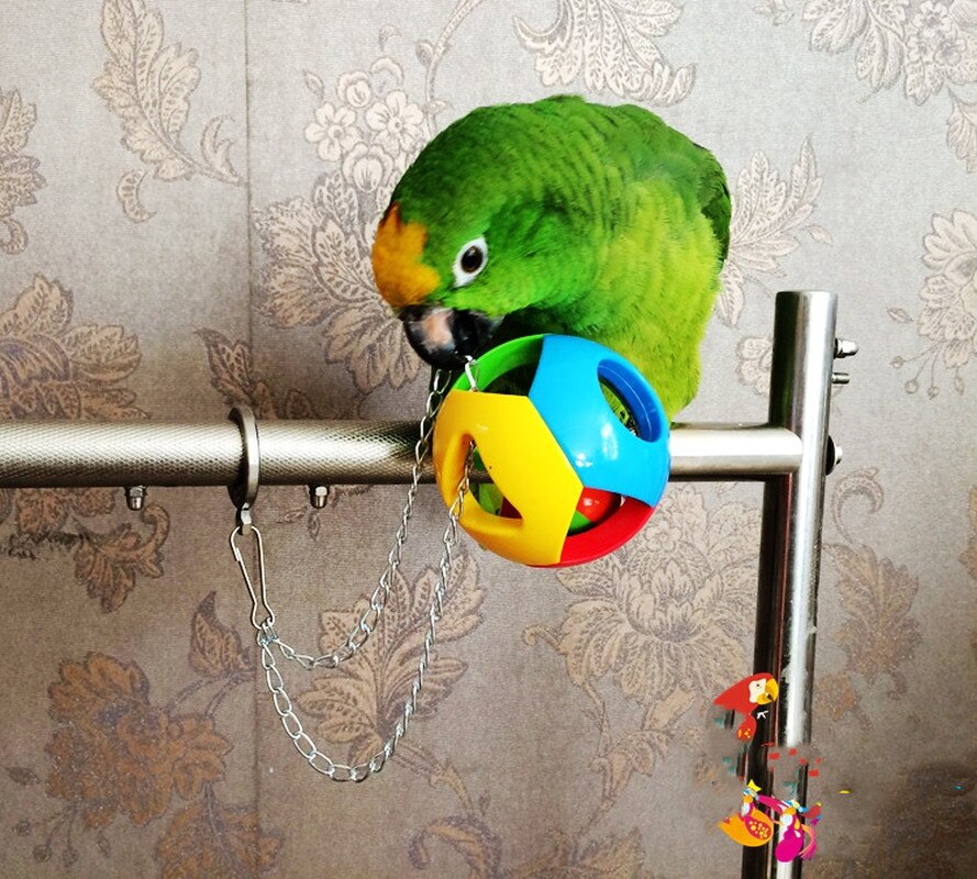 1PC animal de compagnie oiseau en plastique mâcher balle mignon animal perroquet jouet oiseau creux cloche boule chaîne Cage jouet pour perroquet calopsitte perruche