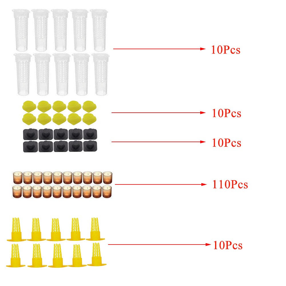 Kit completo de cría de abejas reina, sistema de protección, jaulas de cubierta, celdas, Base, herramientas de plástico, suministros de apicultura, 1 Juego: Default Title