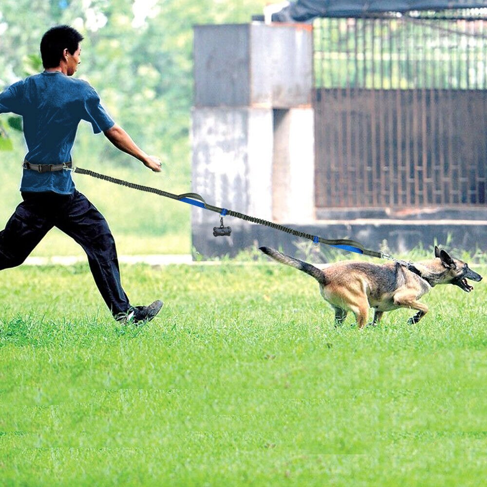Reflekterende bånd trekktau kjæledyr hund løpebelte elastisk hender fritt jogging trekk hundebånd metall d-ring bånd