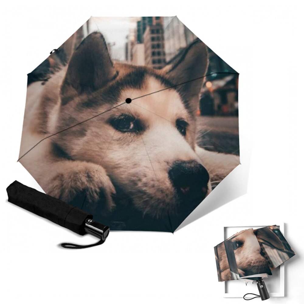 Sombrilla de automática para perro, sombrilla de Anti UV para mujer, sombrilla plegable para 3 personas, paraguas para niños lluviosos, para hombre: YSA1823