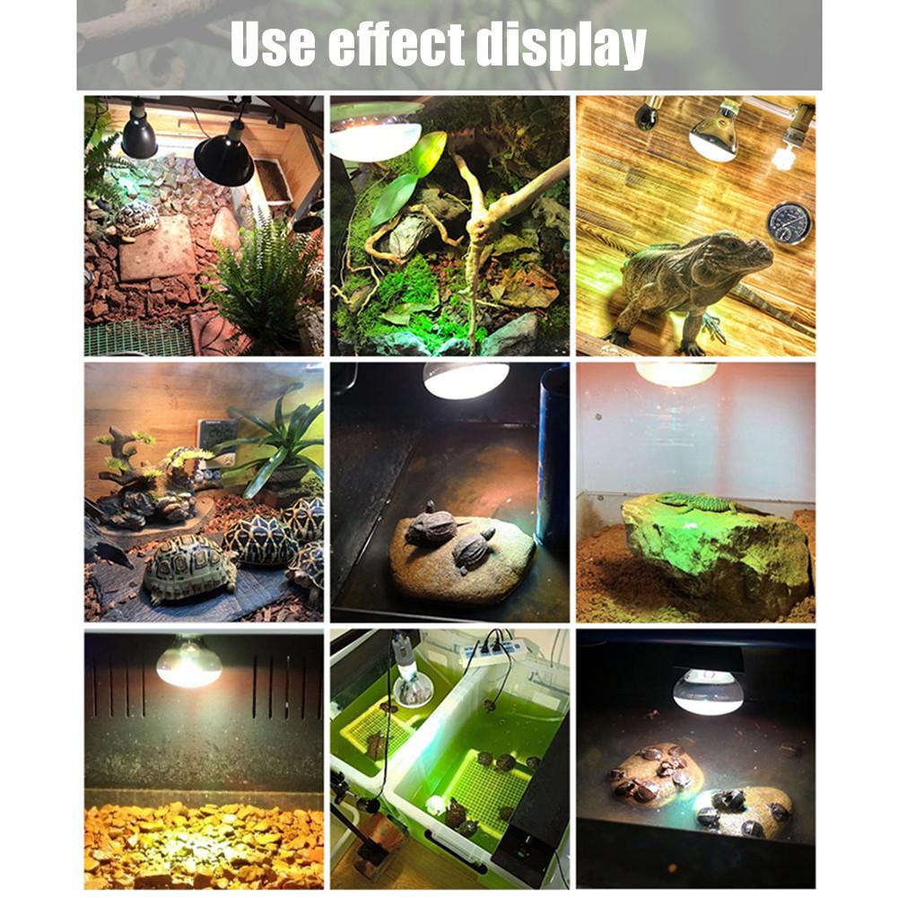 80W/100W/160W E27 lampe chauffante pour animaux de compagnie Non éblouissante multifonctionnelle UVA UVB lampe UV à spectre complet ampoule pour Reptile