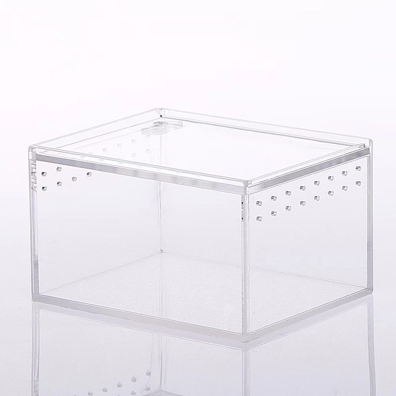Reptil Zucht Kasten Große Acryl transparent Schiebe Abdeckung Reptil Panzer Insekt Spinne Schildkröte Eidechse Fütterung Kasten Terrarium: 10.3x8.3x6cm