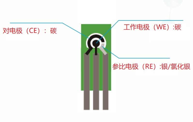 Screen Printed Carbon Electrode and Its Connector, Flexible Wearable Sheet Electrode