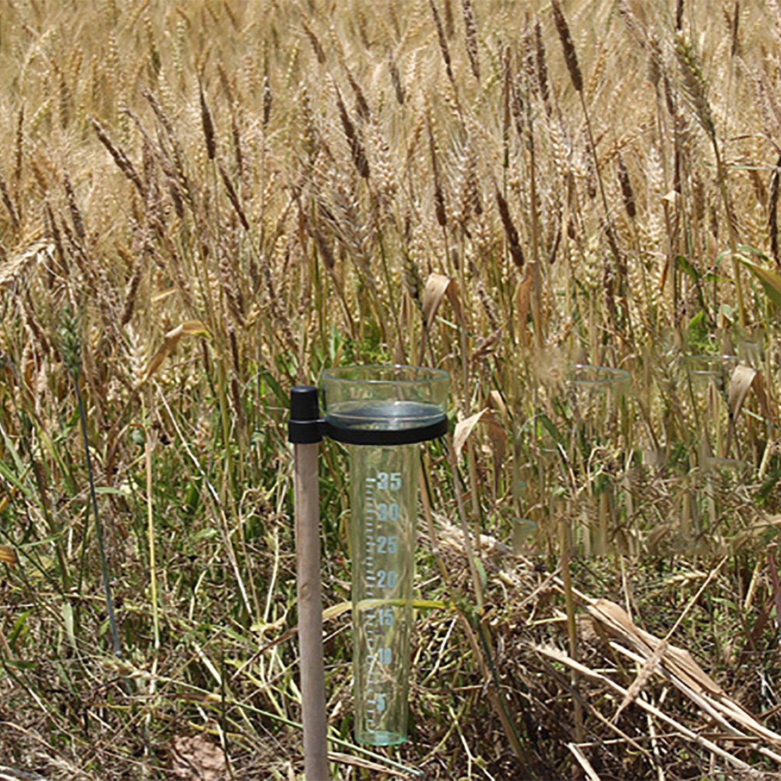 Pluviomètre outils de technicien agricole brancher partout recherche climatique réutilisable jardin extérieur unique pluie tasse à mesurer