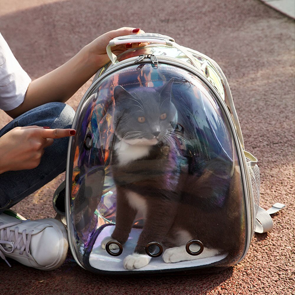 Kat Rugzak Ademend Draagbare Pet Carrier Transparante Outdoor Ruimte Huisdier Rugzak Rugzak Voor Kat En Hond