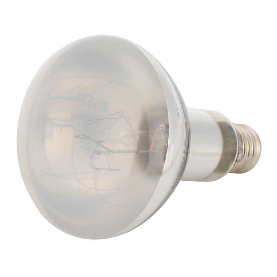 Reptielen warmtelamp reptielen warmtelamp reptielenlamp huisdieren voor schildpadden reptielen