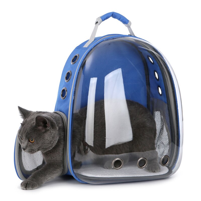 Sac à dos de transport pour chat, chiot, chihuahua, capsule transparente, respirant, voyage en plein air, grotte pour chiot