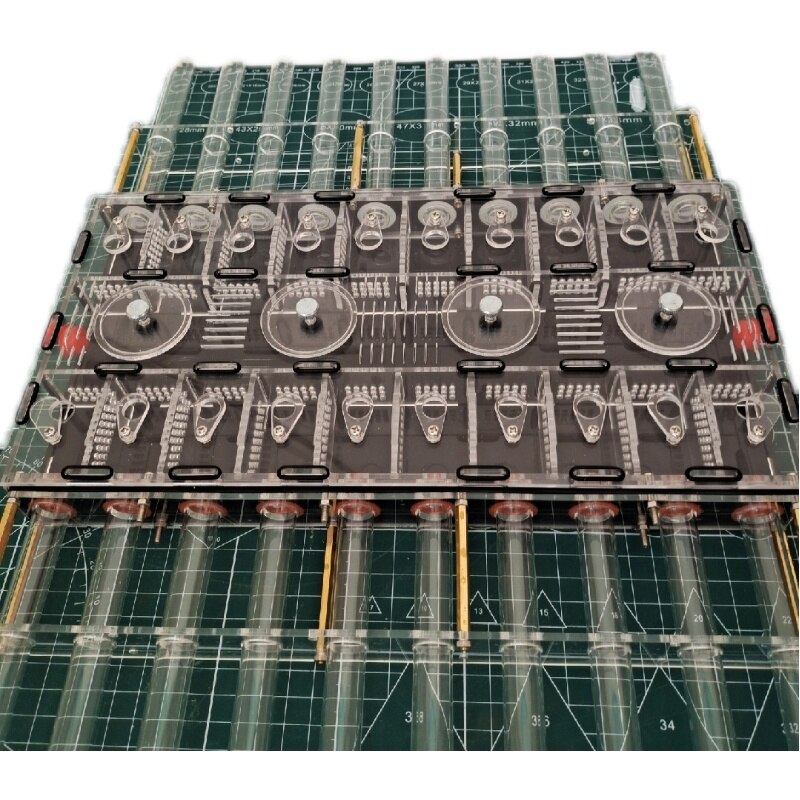 Infinite expansion Queen ant formicarium,arylic ant farm for queen laying egg ant nest