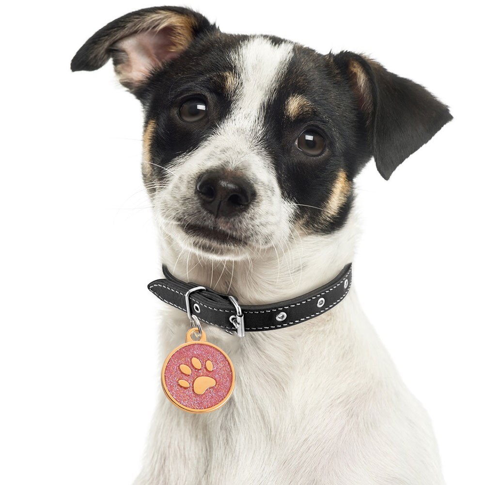 Collar con placa de identificación de perro y gato, colgante con garra redonda grabada, decoración para el bolsa Porta llaves, 10 Uds.