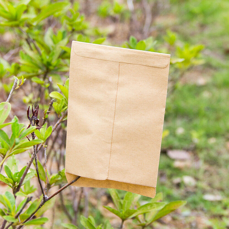 100pcs Seed Protective Envelope Kraft Paper Bags Corns Wheat Rice Seeds Packaging Storage Bag Envelop Paper Seeds Bag