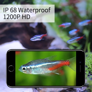 5M Hd 1200P Draadloze Wifi Endoscoop Voor Ios Android Pc Mini Waterdichte Semi Stijve Inspectie Camera 8 Mm lens 8LED Borescope