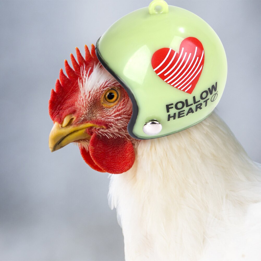 2 Stuks Pet Kip Helm Kleine Huisdier Pluimvee Vogel Eend Hoofddeksels Hoed Caps Head Protector Vogel Hoofd Helm Dierbenodigdheden