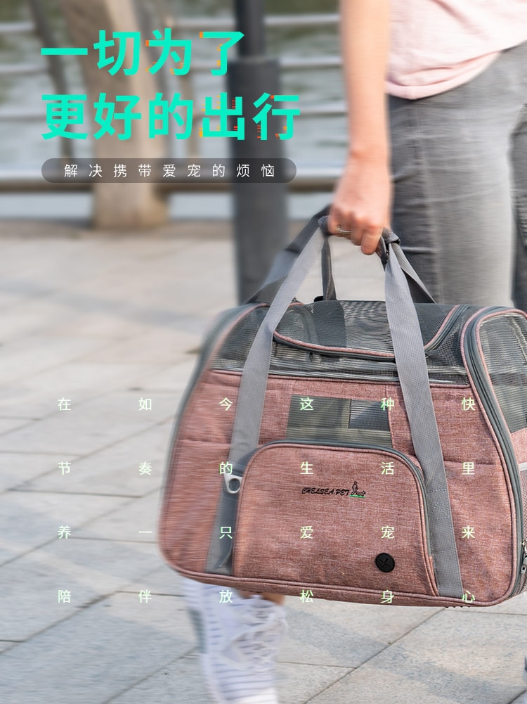 Reistas Hond Uitje Draagbare Hond Rugzak Hond Draagtassen Voor Kleine Honden