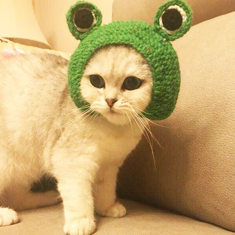 Chapeau tricoté à la main pour animaux de compagnie, chapeau pour chien, chat, grenouille, joli , accessoires pour petits animaux de compagnie